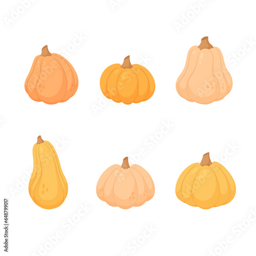 Set of pumpkins isolated on white background. Vector illustration.