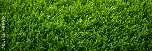 Wide format background image of green carpet of neatly trimmed grass. Beautiful grass texture on bright green mowed lawn, grassplot in nature. generative AI photo