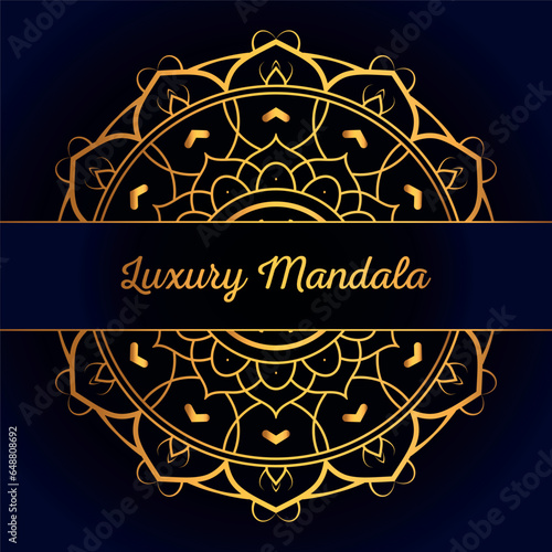 Luxury mandala art background or mandala art vector