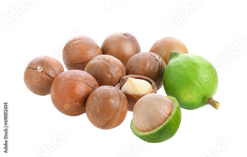 macadamia nuts isolated on transparent png