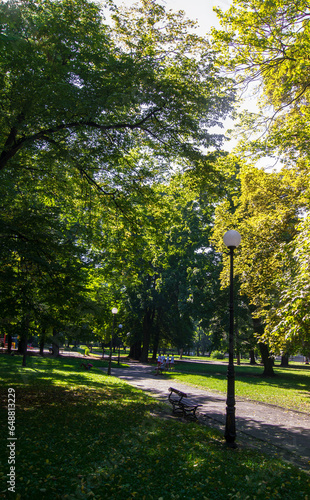 The first breath of autumn in the park. Green trees, first autumn leaves. Lublin, Poland.