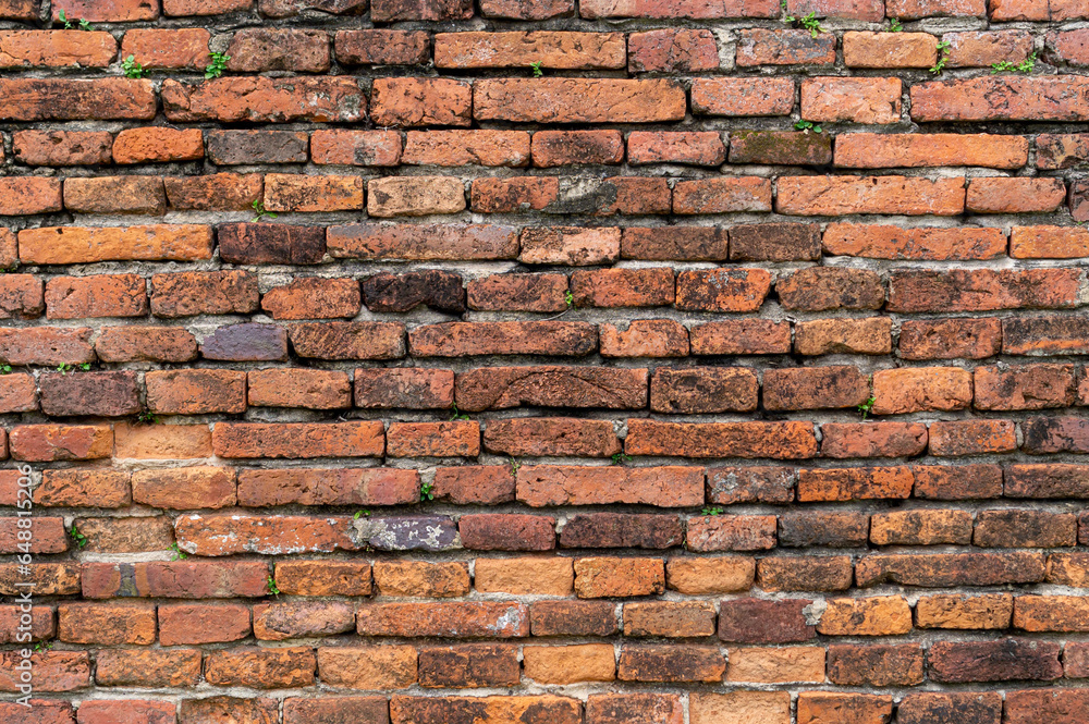 Obraz premium old brick wall texture background