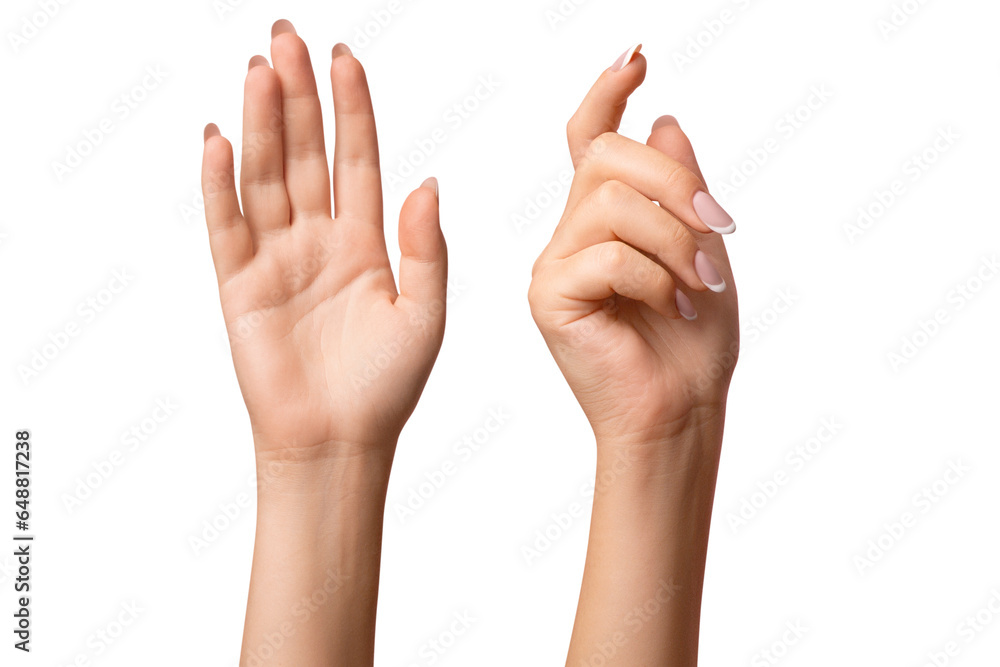 Women's hands. on isolated transparent background Women's hands. on isolated transparent background