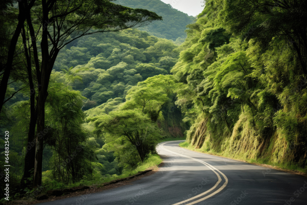Fototapeta premium A winding road that cuts through a lush, green forest, yellow line. The trees on either side are tall and majestic, their leaves displaying a variety of shades of green, dense foliage