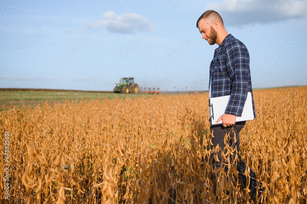 farmer agronomist in soybean field checking crops. Organic food production and cultivation farmer agronomist in soybean field checking crops. Organic food production and cultivation