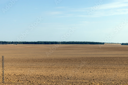 agricultural field plowed for sowing grain