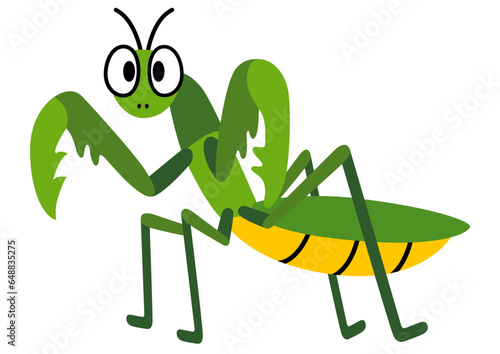 カマキリ,昆虫,虫,夏,動物,虫取り,夏休み,鎌,かまきり,緑,春,飼育,生き物,自然,生物,昆虫採集,７月,蟷螂,８月,かわいい,可愛い,挿絵,成虫,jpeg,png,イラスト,６月