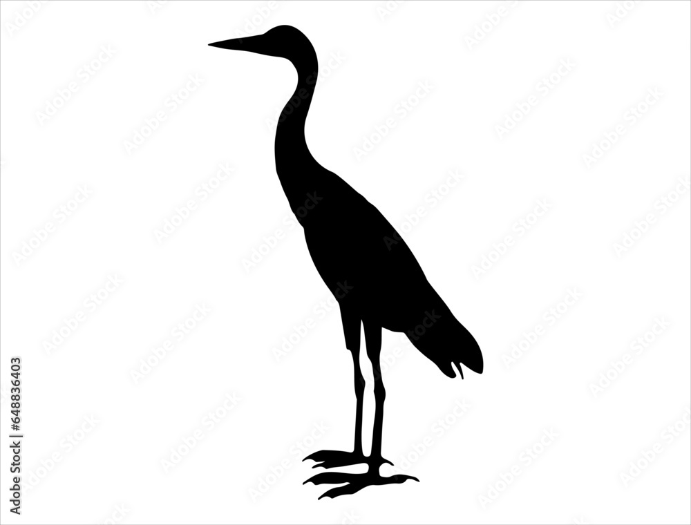 Obraz premium Egret silhouette vector art white background