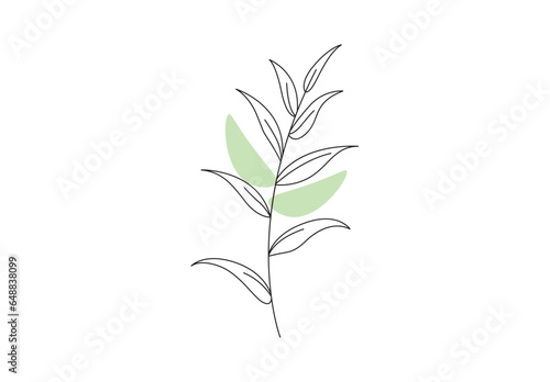 Beautiful plant leaf minimal line art vector illustration. Premium vector.