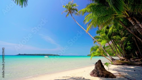 Caribbean beach background. Sunny tropical beach. Hot afternoon on an empty beach. The best beaches in the world. Dominican Republic beaches. photo