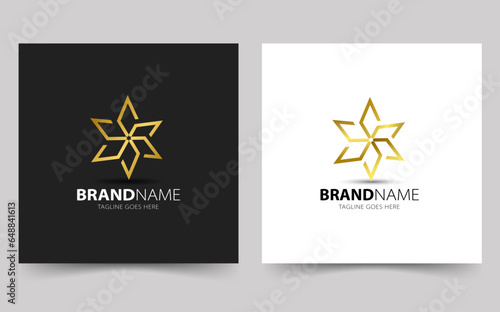 Simple letter sss monogram luxury logo design With star shape