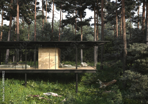 visualization of a modern country house in a pine forest