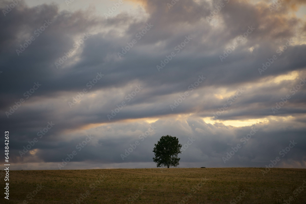clouds over the field