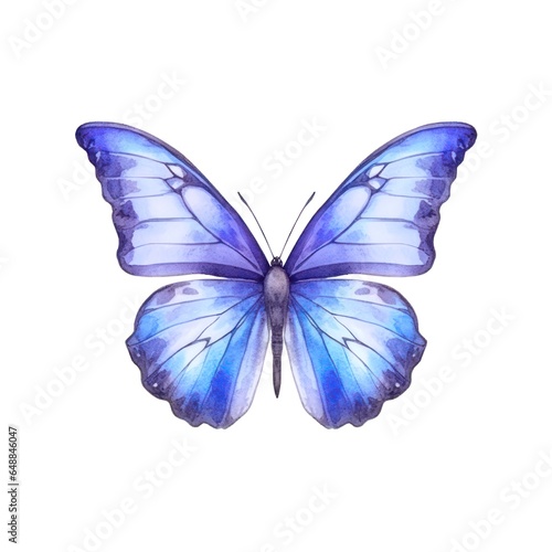 Beautiful light blue butterfly isolated on white background in watercolor style. © Hanna