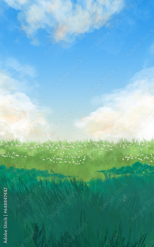 Fototapeta premium meadow