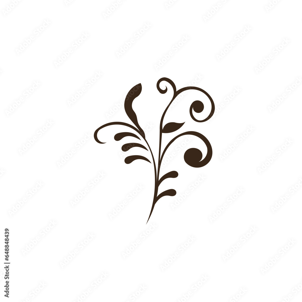 Botanical plant twigs and soft flowers in boho linear style vector illustration set. Bohemian emblem goes along with flowers and leaves symbols for gardering logos and cosmetic packaging