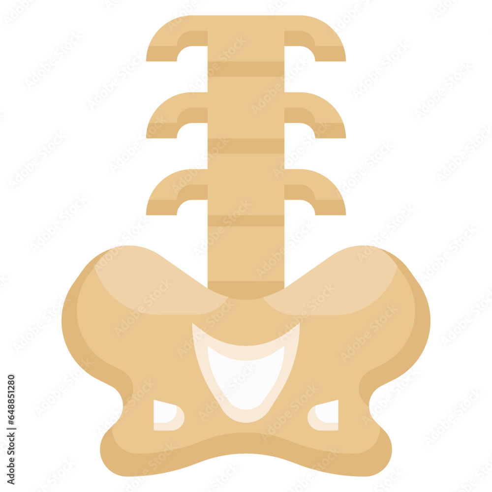 Fototapeta premium BACKBONE2 filled outline icon,linear,outline,graphic,illustration