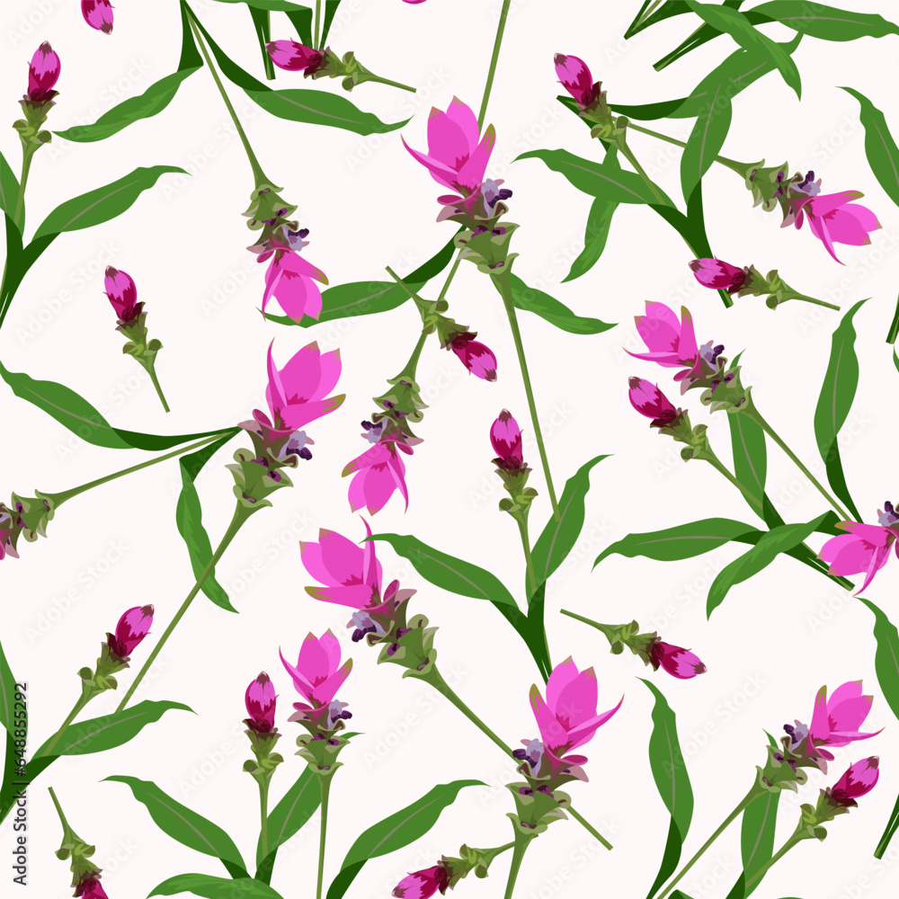 A seamless pattern of Siam tulip flowers. vector illustration. flower background. A seamless pattern of Siam tulip flowers. vector illustration. flower background.