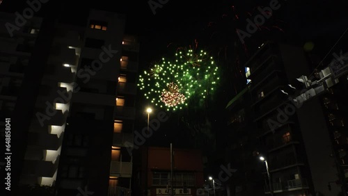 TOKYO, JAPAN - 29 JULY 2023 : View of FIREWORKS at Sumidagawa Firework Festival. Japanese summer season concept 4K video. photo