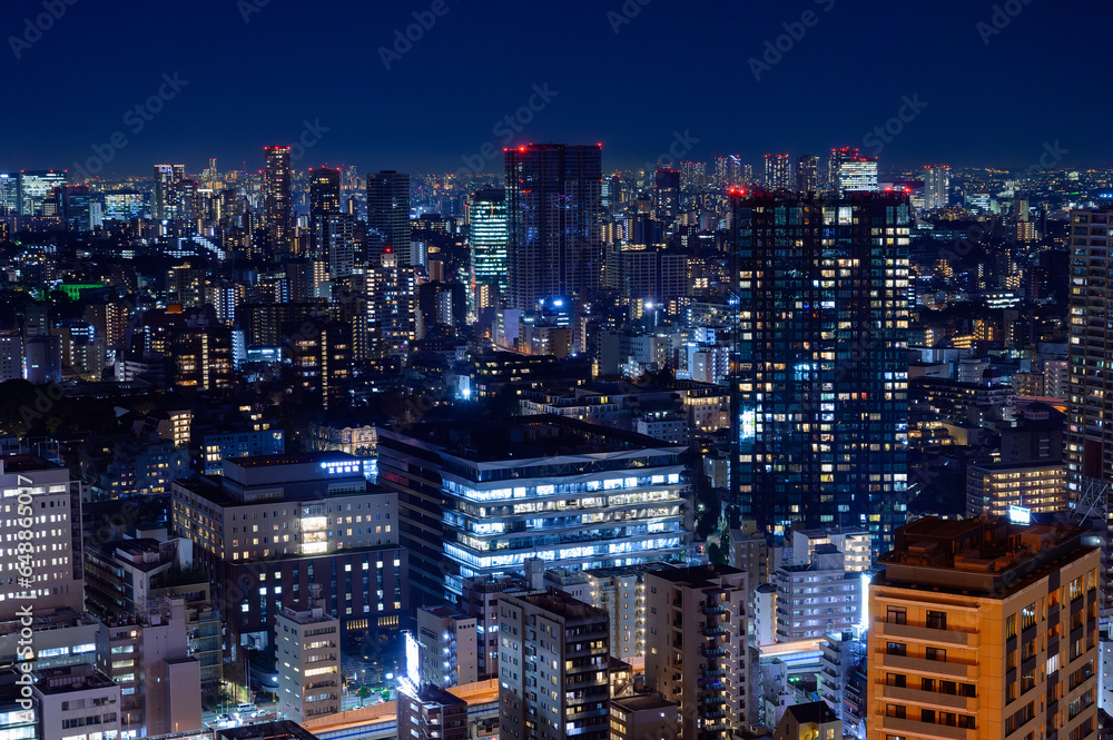 Naklejka premium 東京、夜のはとバスツアー