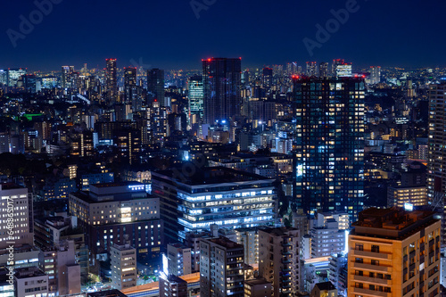 東京、夜のはとバスツアー
