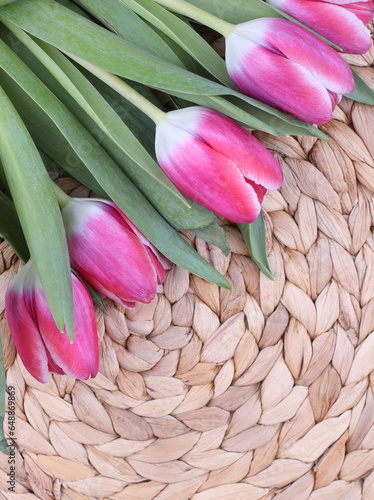  Bouquet of pink tulips. Mothers day, Valentines Day, Birthday celebration concept. Greeting card. Copy space for text, top view