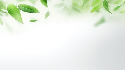 Green flying leaves isolated on white background with place foe text. Fresh tea, air purifier, organic, vegan, eco or beauty product concept design
