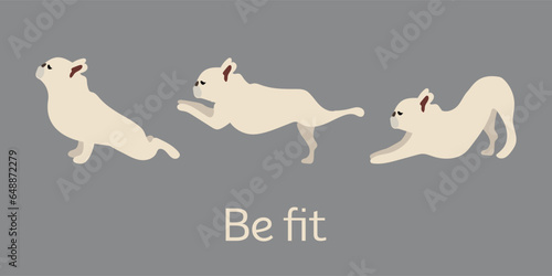 French Bulldog illustration, yoga dogs poses and exercises. Vector clipart. Simple icons, sport-related funny postcart. Yoga card. 3 yoga poses set, doodle style.
