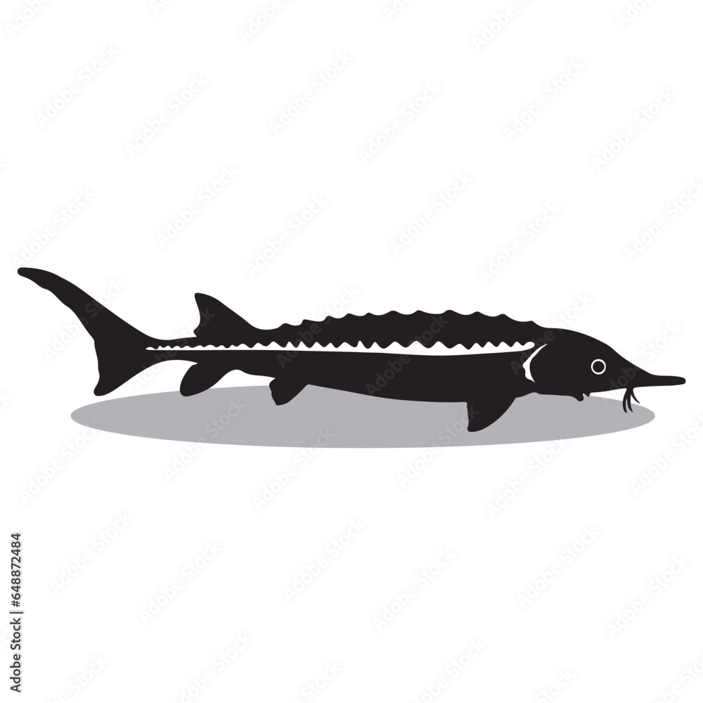 Sturgeon Silhouette, cute Sturgeon Vector Silhouette, Cute Sturgeon