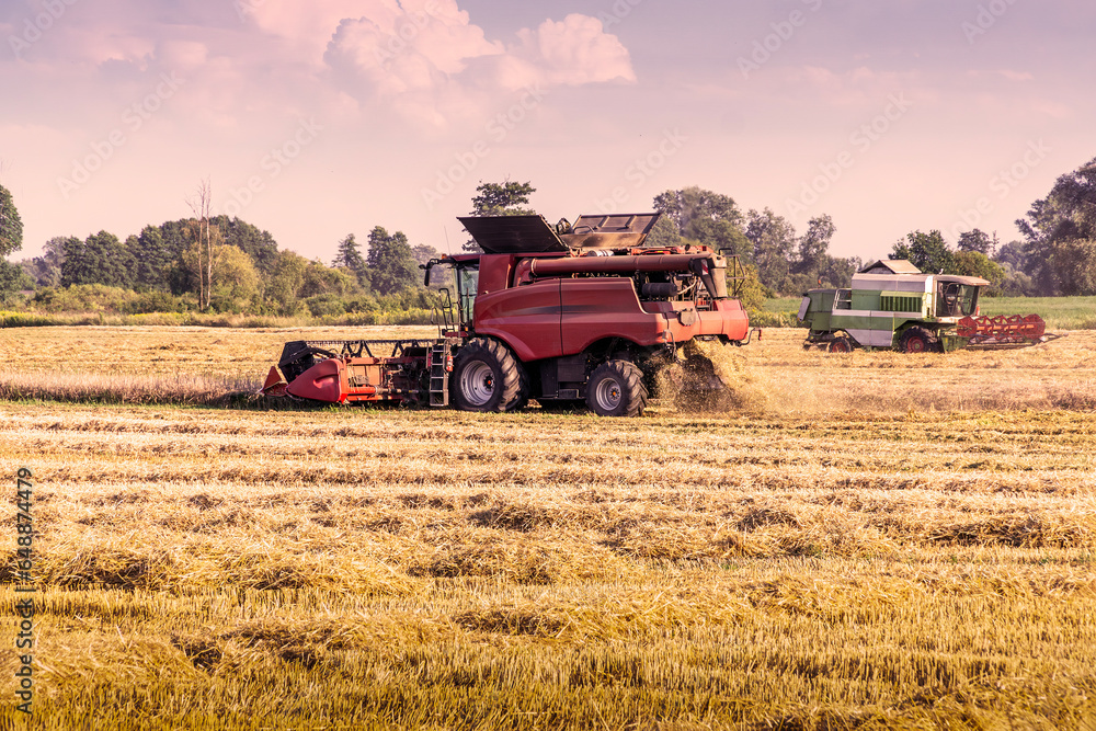 Two combine harvesters mow grain plants in the field Two combine harvesters mow grain plants in the field