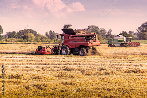 Two combine harvesters mow grain plants in the field © Andrzej Płotnikow