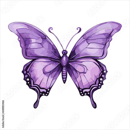 Photography Watercolor purple butterfly on white background