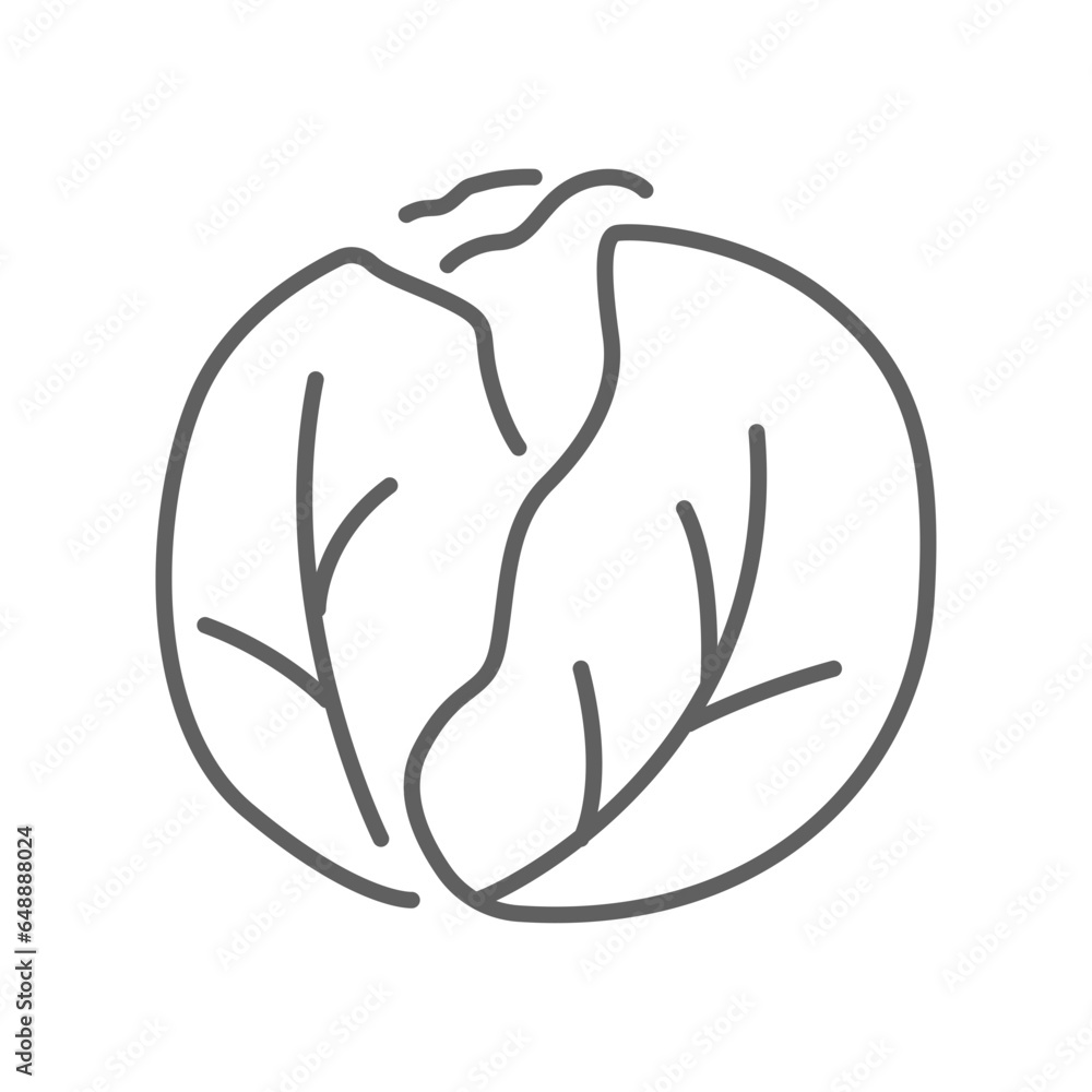 Cabbage icon. Green organic vegetable and food logo. vegetarian salad recipe. Fresh leaves lettuce. Outline style pictogram Editable stroke. Vector illustration. Design on white background. EPS 10 Cabbage icon. Green organic vegetable and food logo. vegetarian salad recipe. Fresh leaves lettuce. Outline style pictogram Editable stroke. Vector illustration. Design on white background. EPS 10