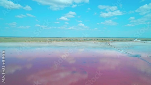 Aerial over the pink lake Burlin in Altai region of Russia. Stunning scenery of pink lake and blue skies photo