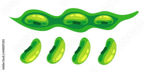 Bean plant soy pod green pea isolated set. Vector flat graphic design illustration