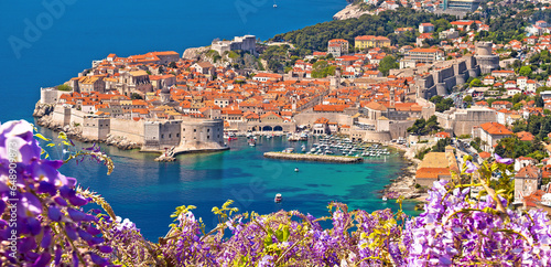 Historic town of Dubrovnik panoramic view through flowers photo