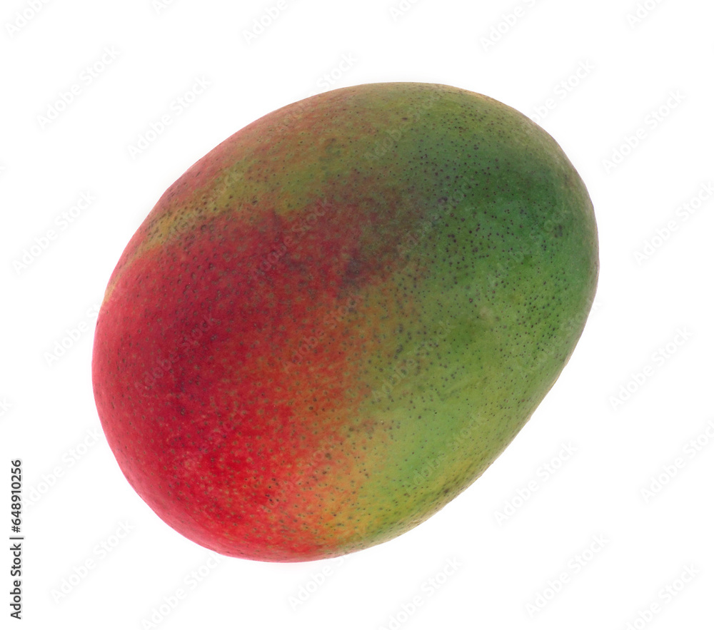 Red green mango. Large fruit on a white background. Isolated image on a white background. Nobody. Red green mango. Large fruit on a white background. Isolated image on a white background. Nobody.