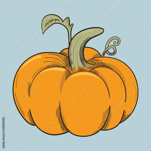 Pumpkin Colora healty Pumpkin design vector 
