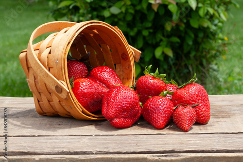 Strawberry's falling out of a wicker basket.