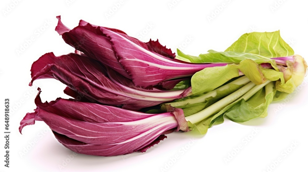 Cichorium intybus on White background, HD