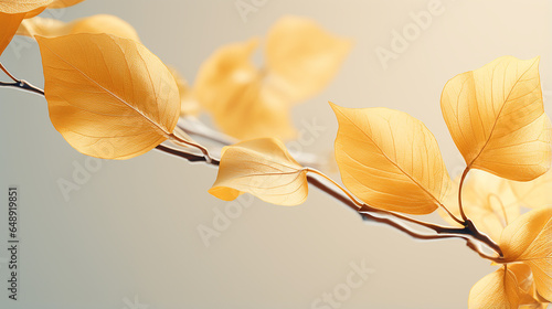 Yellowed Colors Tree Leaves Cutout