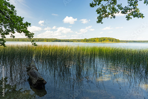 Fototapeta Naklejka Na Ścianę i Meble -  view over lake Mokre near Krutyń in Poland