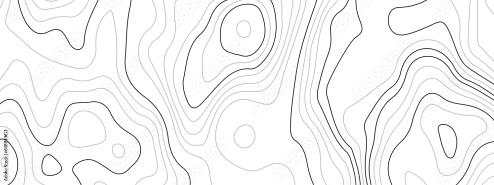 Abstract topographic wavy curve line background. Topography map pattern, Geographic curved relief. Topographic lines background. Vector illustration.	
