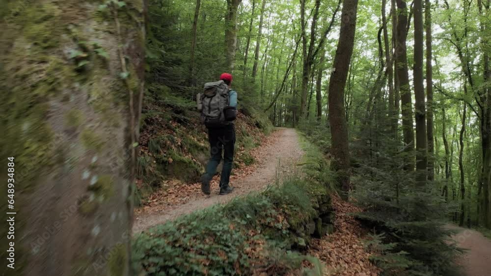 Hiker on a scenic forest trail. Man with backpack walking in the mountain woods in the green season, the camera following from behind
Hiker on a scenic forest trail. Man with backpack walking in the mountain woods in the green season, the camera following from behind