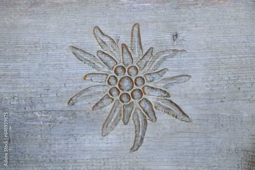 Swiss Edelweiss flower burnt into wood