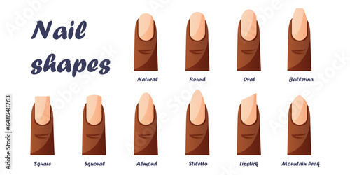 Set of nail shapes - oval, square, almond, stiletto, ballerina, squoval. Guide different forms, types of manicure nails. Professional salon trends, beauty and care. Classic instruction. Vector photo