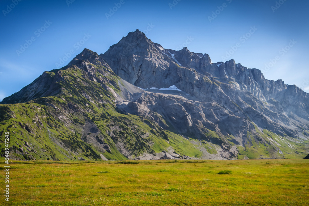 A mountain landscape with a grassy meadow in front of a majestic mountain range. The meadow is lush and green, contrasting with the rugged peaks in the background. The scene is serene and picturesque.
