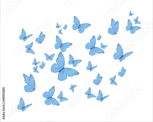 watercolor butterfly vector hand drawn design