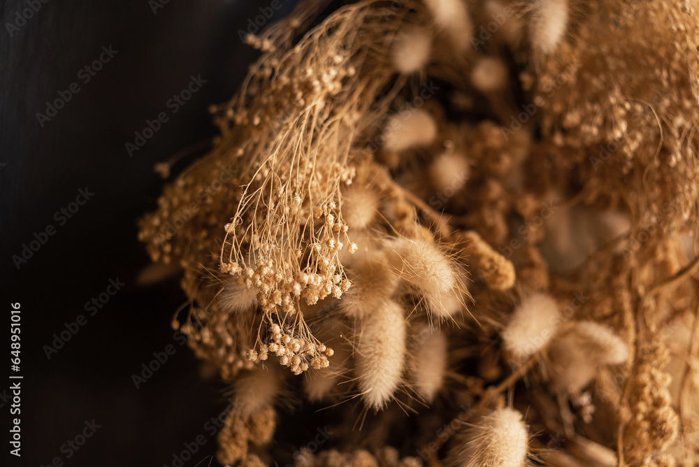 Decor of dried flowers on the wall. A bouquet of dried flowers. Floral minimalist home interior in boho style. The decor of the festive photo zone in the boho style.
