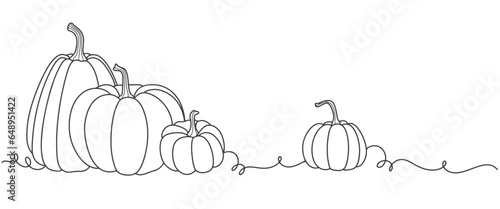pumpkins line art style. thanksgiving design element vector